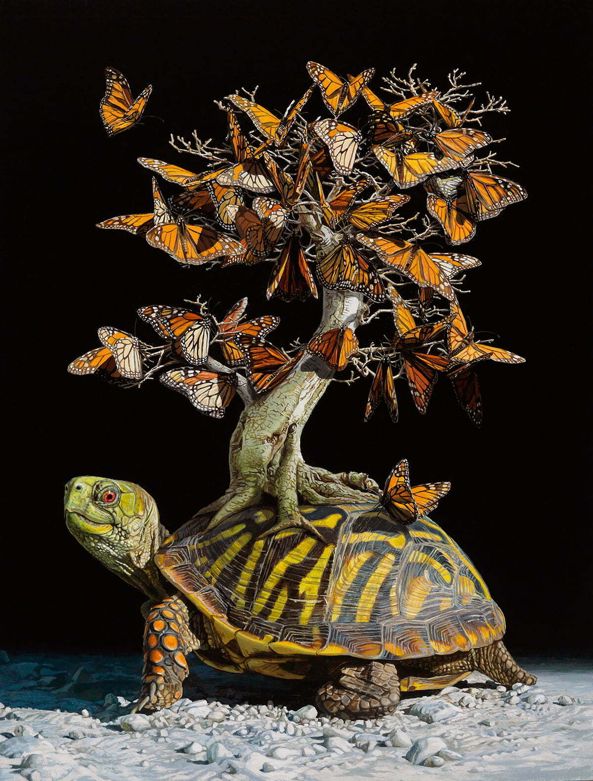 Фотограф си представя фантастични екосистеми, носени от костенурки