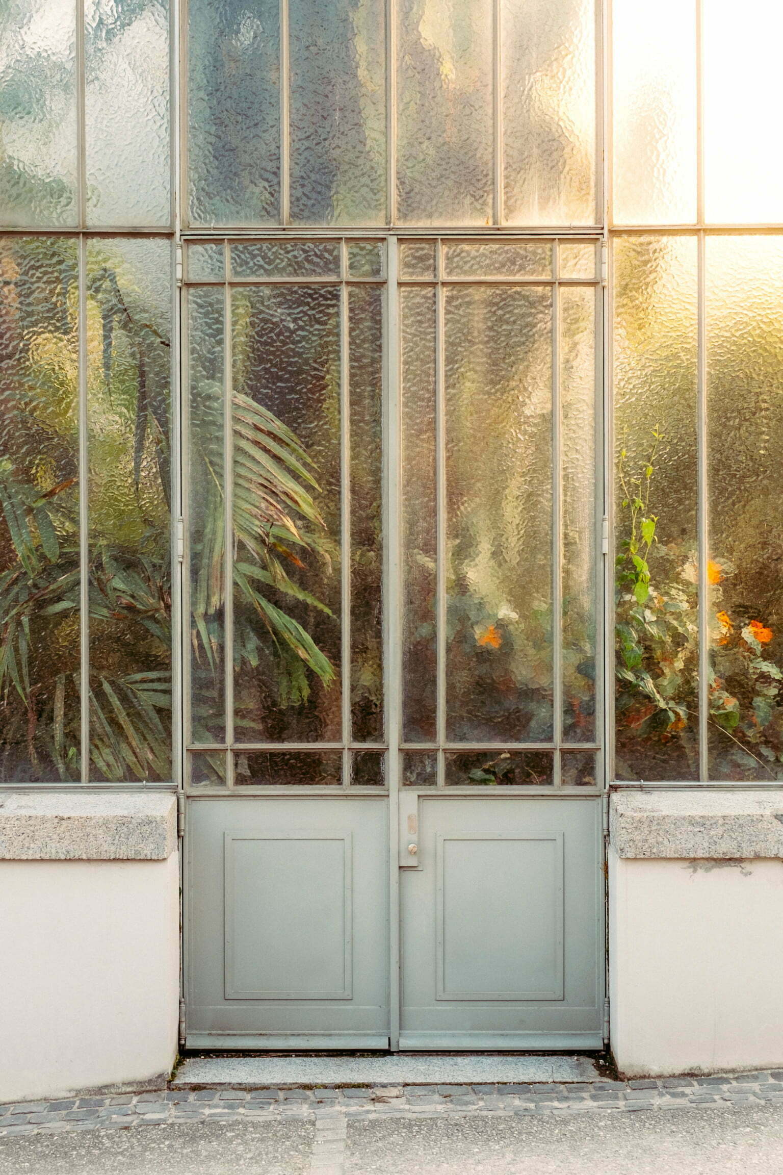 Снимки на растения, докосващи стъклата на оранжерията, в които са отглеждани