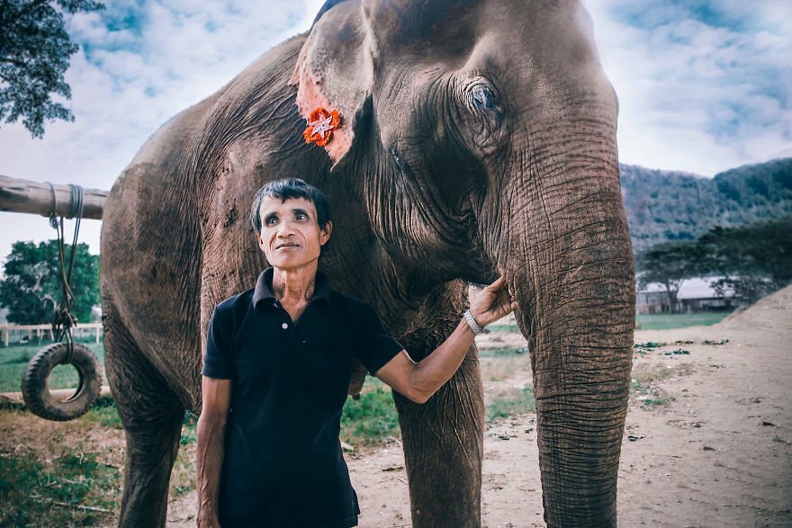 В този природен парк в Тайланд доброволци се грижат за спасяването на изчезващите слонове