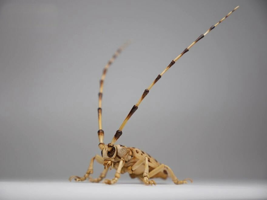 Японски артист създава невероятни насекоми от бамбук, които наистина ще ви впечатлят