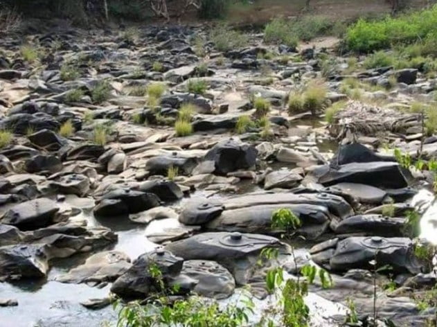 Пресушиха река в Индия, но това, което откриха на дъното, изуми учените (СНИМКИ)