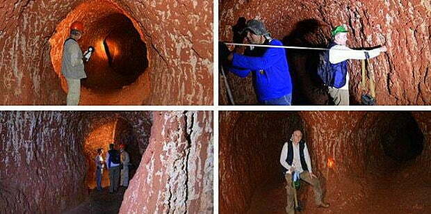 Праисторическите ленивци прокопавали огромни дупки - тунели /видео/