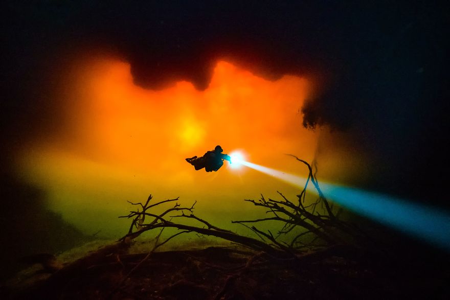 Победителите от конкурса за подводна фотография на 2018 ще ви оставят без дъх