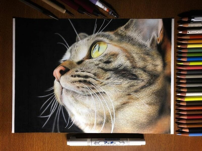 23 рисунки на котки в жанра на хиперреализма