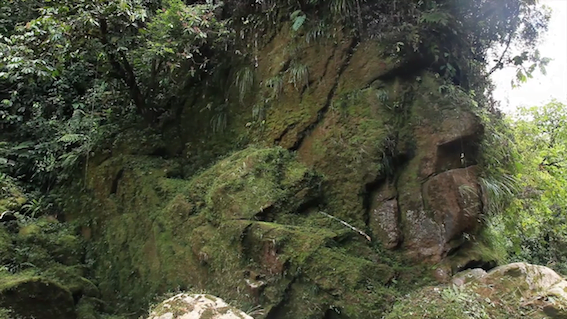Лицето на Амаракарей – Свръхмасивно древно лице, скрито дълбоко в перуанска Амазонка