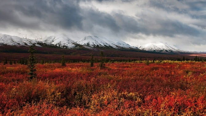 20 снимки от Аляска, които ще спрат дъха ви
