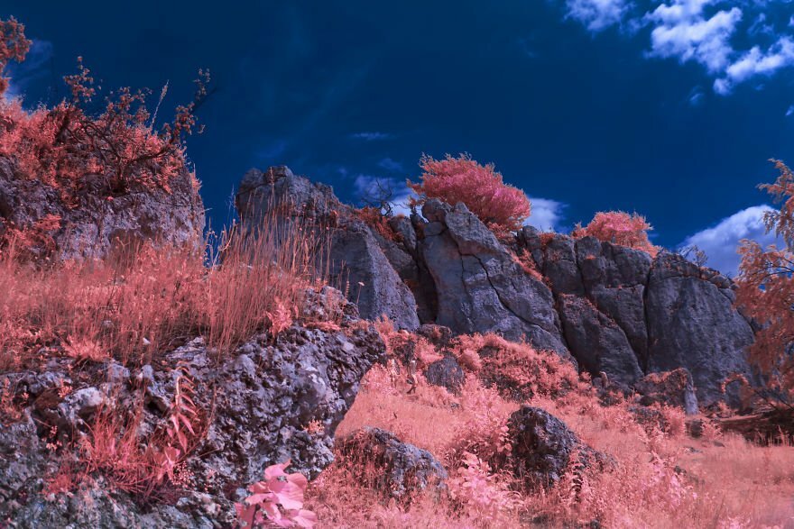Фотограф създава магични, сюрреалистични светове с помощта на инфрачервена фотография