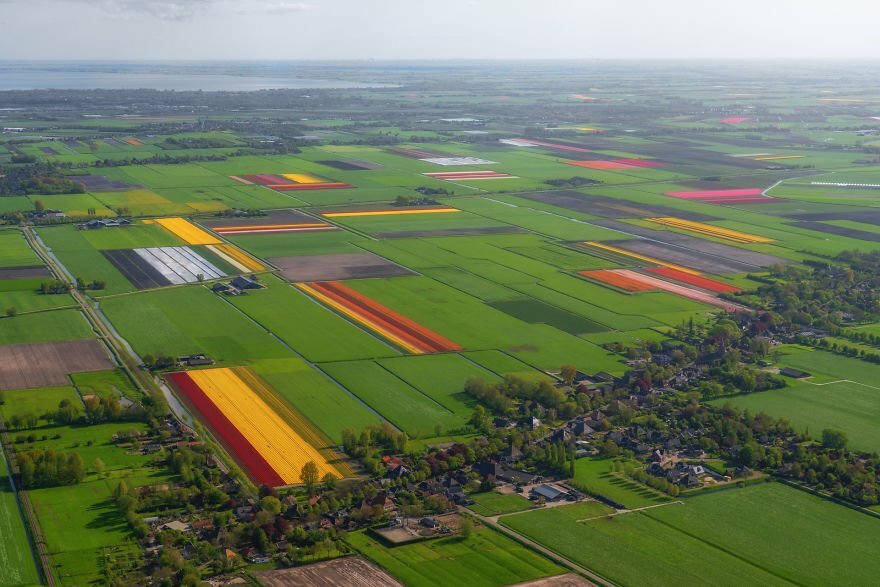 Холандия – страната на лалетата