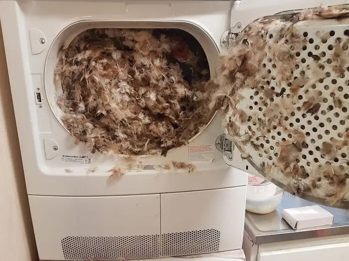 И смешно, и тъжно: Kуриозни инциденти по време на прането