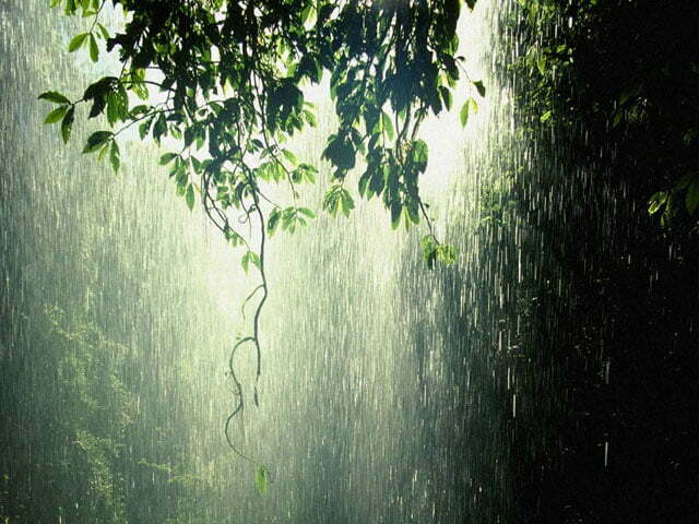 Уникални дъждовни снимки