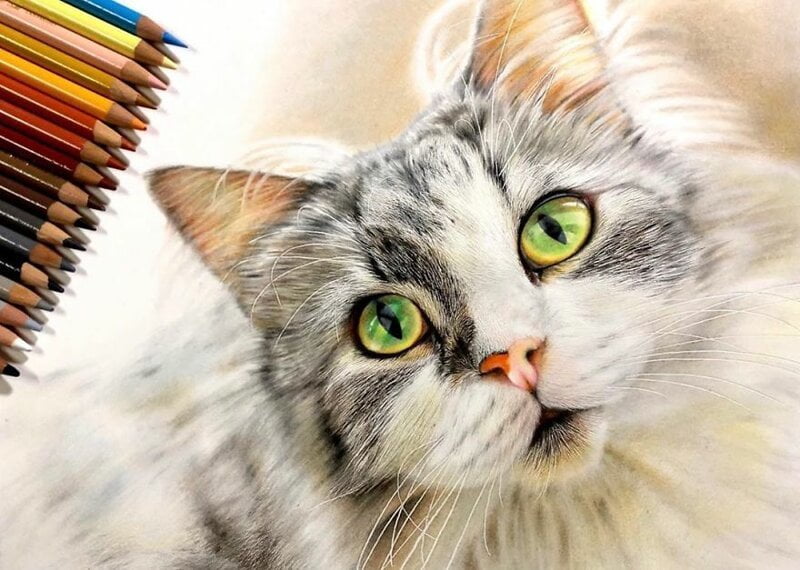 23 рисунки на котки в жанра на хиперреализма