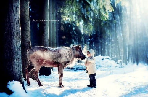 animal-children-photography-elena-karneeva-132__880