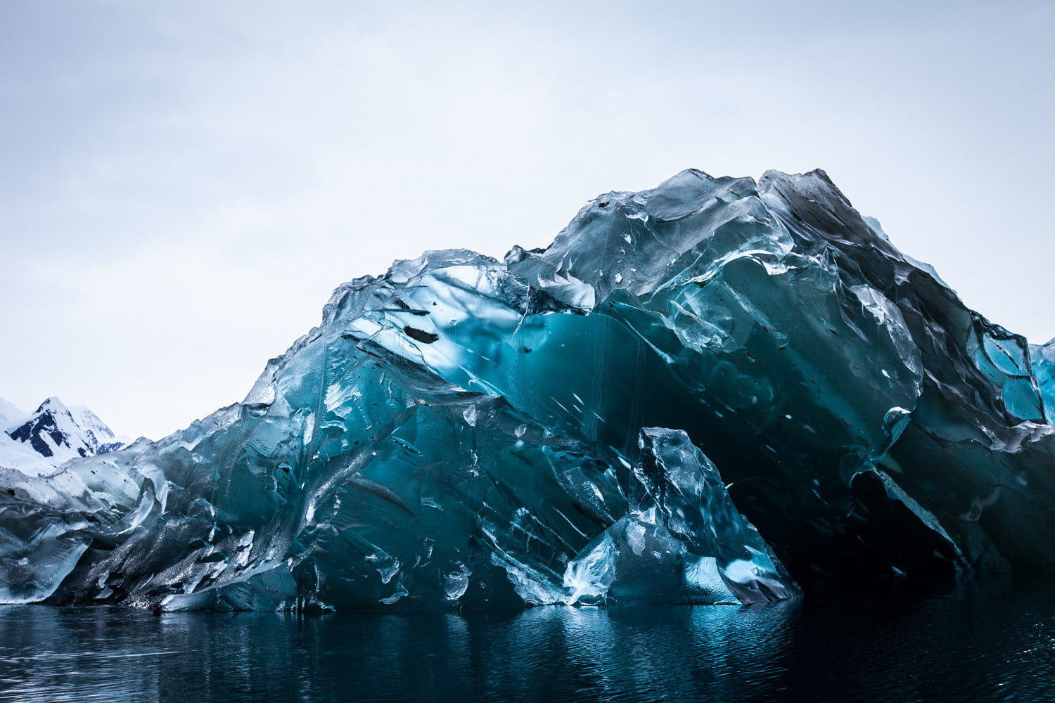 20 любопитни факта за Антарктида