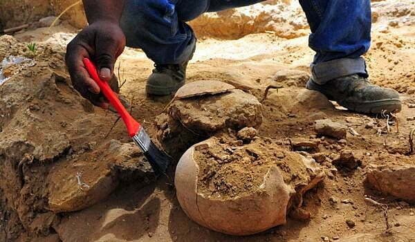 Откриха череп на 2 млн. години, показващ промените в климата