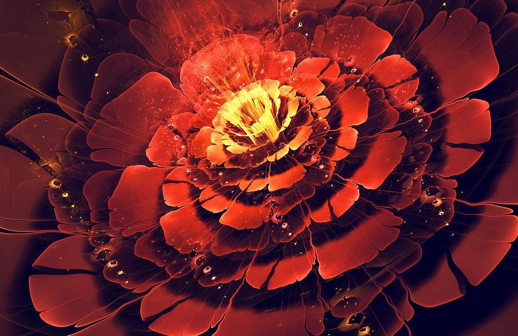 Няма да ги намерите никъде в реалния свят – фракталните цветя на Силвия Кордеда