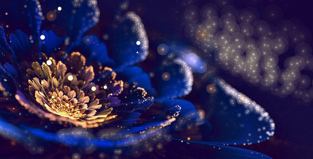 Няма да ги намерите никъде в реалния свят – фракталните цветя на Силвия Кордеда