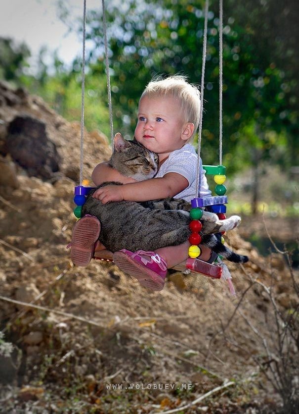 Очарователни снимки, доказващи, че вашето дете се нуждае от котка