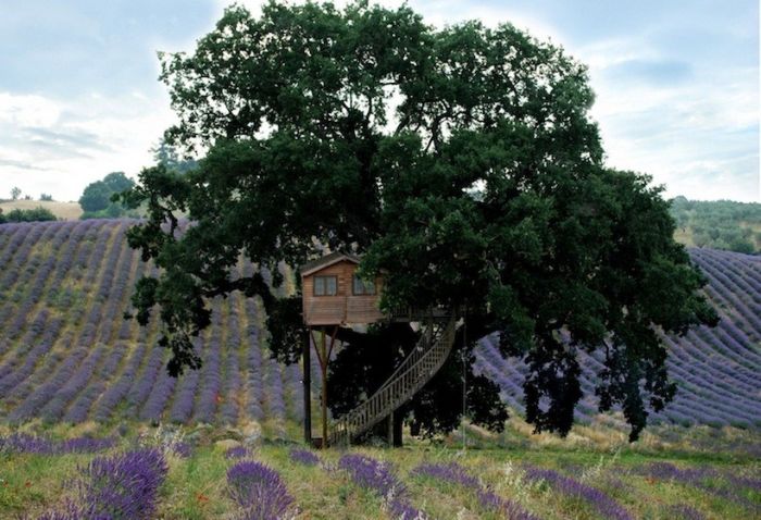 la-piantata-tree-house-Italy