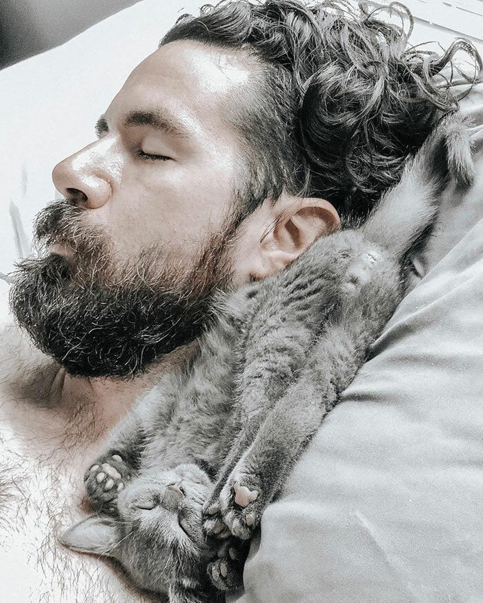 Умилителни снимки на мъже и котки