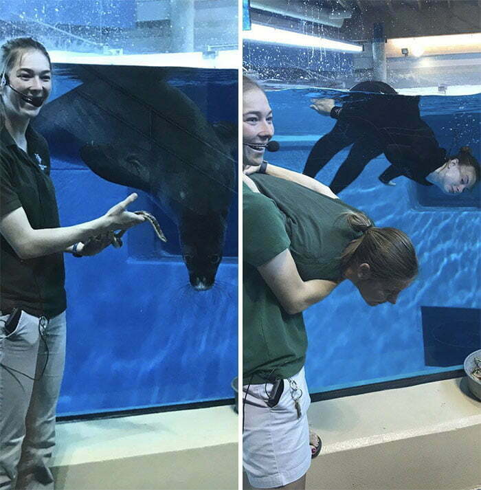 10+ забавни снимки, показващи какво се случва, когато пазачите в зоопарка имат твърде много свободно време на разположение