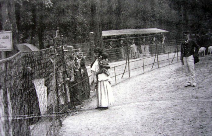 Човешките зоологически градини - срамно петно в човешката история и една от най-големите атракции на 19-20 век