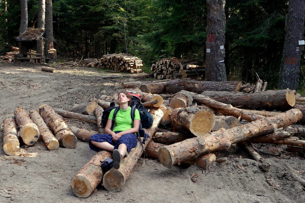 WWF: Българските гори ще изчезнат