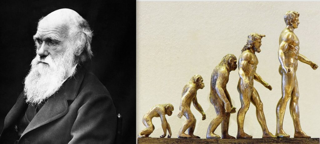 Дарвин взел теорията за еволюцията от шотландски градинар